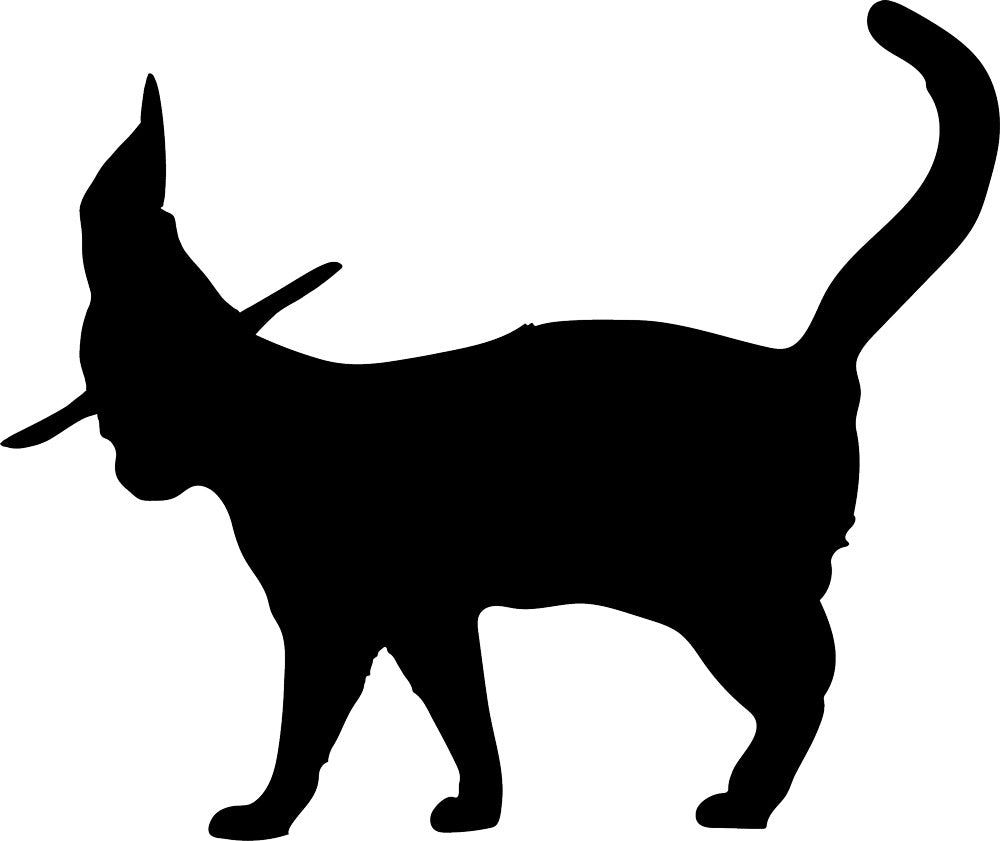 Witch Hat Cat