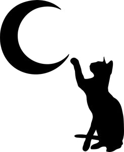 Cat Pawing At The Moon